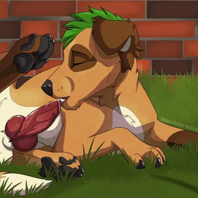 muddog007 created by unbreakable-warrior