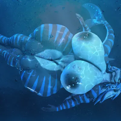 nika sharkeh, warfare nika created by ok bruh