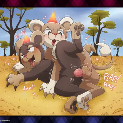 nintendo, pokemon created by atta catto