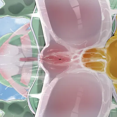 nintendo, pokemon created by dagasi