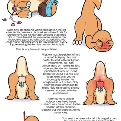 nintendo, pokemon created by fuzzo