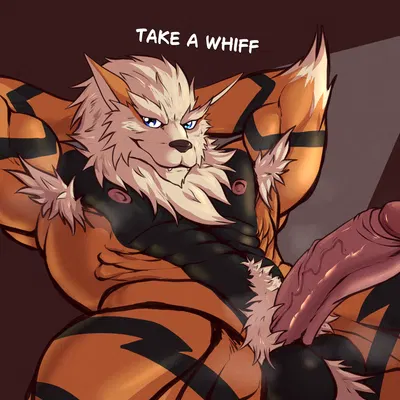 nintendo, pokemon created by iudicium86