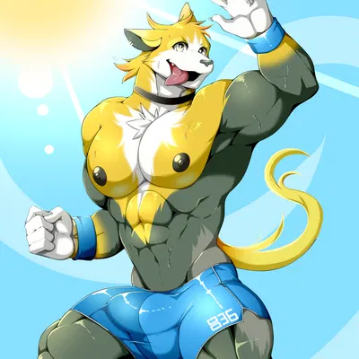 nintendo, pokemon created by mal lock