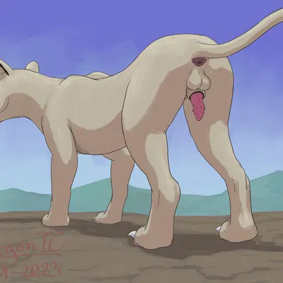 nintendo, pokemon created by pokegontc