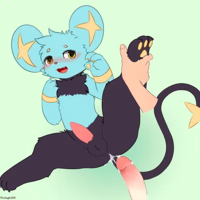 nintendo, pokemon created by senz