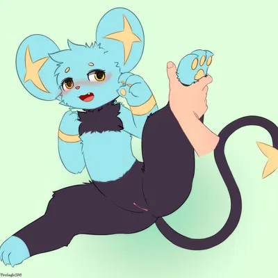 nintendo, pokemon created by senz