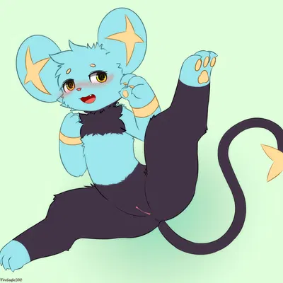 nintendo, pokemon created by senz