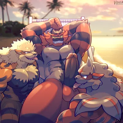 nintendo, pokemon created by voviat