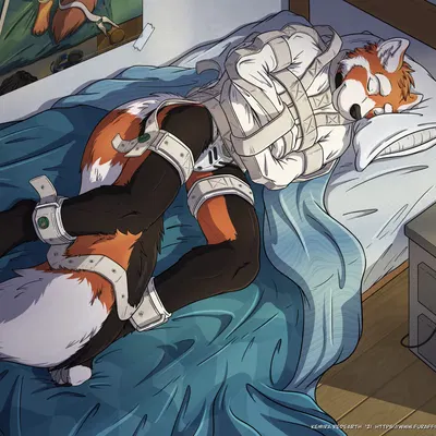 orderic created by kemira