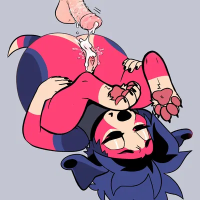 orson (sparkibarki) created by sparkibarki