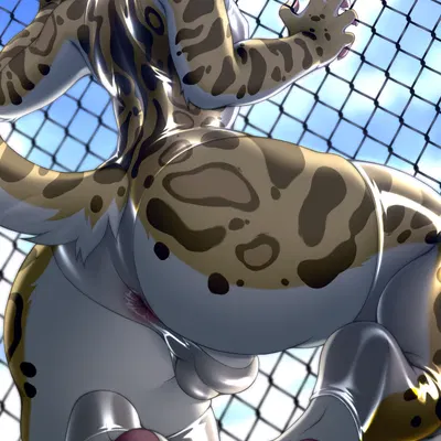 othello (othelloocelot) created by chatski