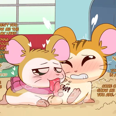 pashmina (hamtaro), stan (hamtaro) (hamtaro (series)) created by crushpepper