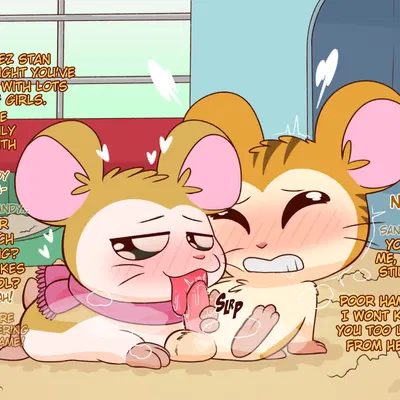 pashmina (hamtaro), stan (hamtaro) (hamtaro (series)) created by crushpepper