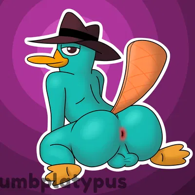 perry the platypus (disney, phineas and ferb) created by dumbfeline