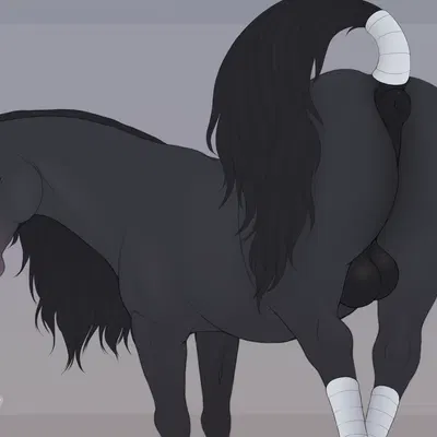 quercu created by fenn.perrox