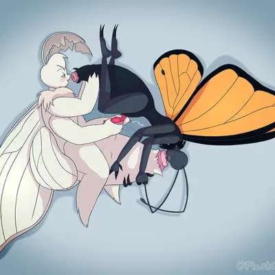 rey (flashquatsch), valentino (flashquatsch) created by flashquatsch