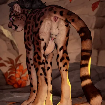 roidhcheetah created by anchee