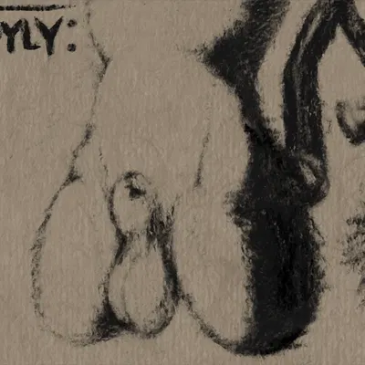 seraphix created by hdyly