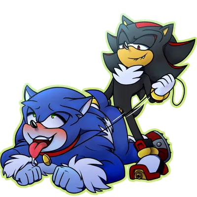 shadow the hedgehog, sonic the hedgehog, sonic the werehog (sega, sonic the hedgehog (series)) created by gottagoblast