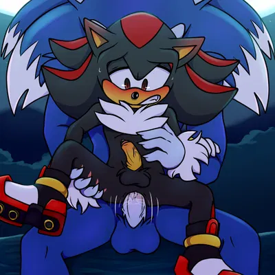 shadow the hedgehog, sonic the hedgehog, sonic the werehog (sega, sonic the hedgehog (series)) created by gottagoblast