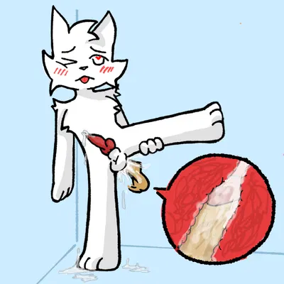 silly cat (mauzymice) (boy kisser (meme)) created by 1mf4d1ng