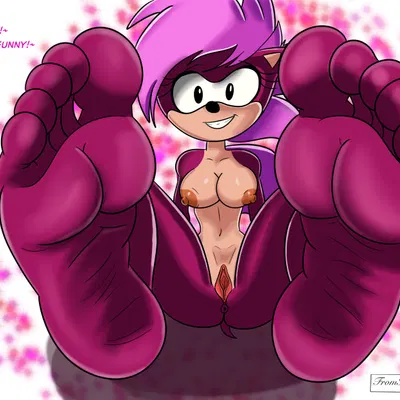 sonia the hedgehog (dic entertainment, sega) created by fromitalywithfurore