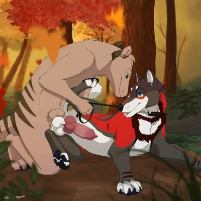 thylus, yipsky created by unbreakable-warrior