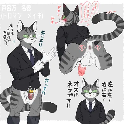 torama-san created by solani poteto