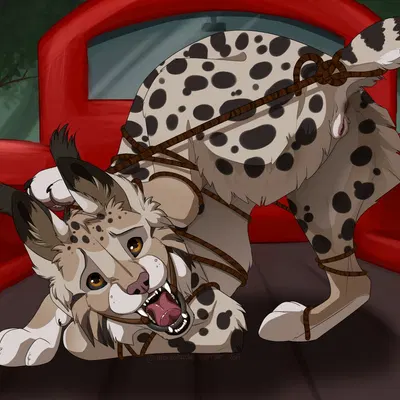 zaire (nightdancer) created by unbreakable-warrior