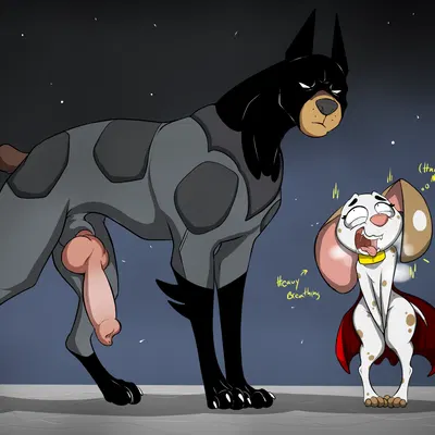 ace the bat-hound, paprika (psy101) created by psy101