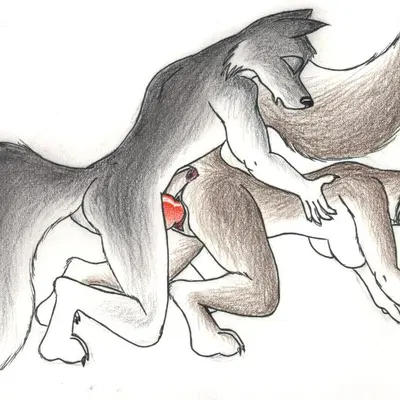 all fours, anthro, anthro on anthro, anthro penetrated