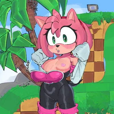 amy rose, rouge the bat (sega, sonic the hedgehog (series)) created by magnetstuff