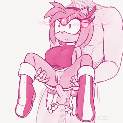 amy rose (sega, sonic the hedgehog (series)) created by zelamir