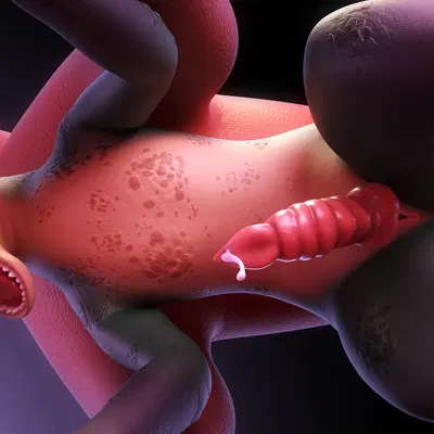 angus (critterclaws), kale (critterclaws) (mythology) created by crittermatic