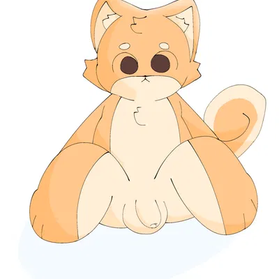 anthro, balls, foreskin, fur