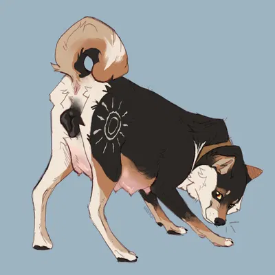 apollo (apollo sunshiba) created by wirepup