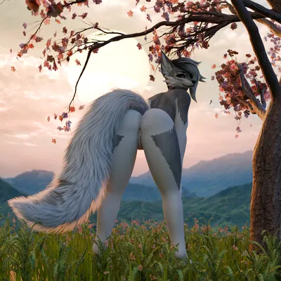 aurora (foxipaws) created by liltrashx