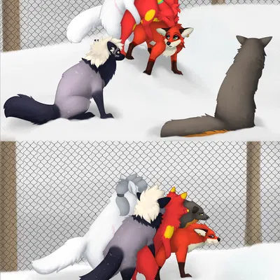 bayard zylos, eda the thief (queenkoko), tiny the coyote created by nauticalcanine