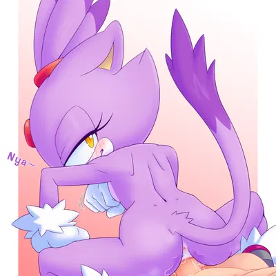 blaze the cat (sega, sonic the hedgehog (series)) created by stradivarius
