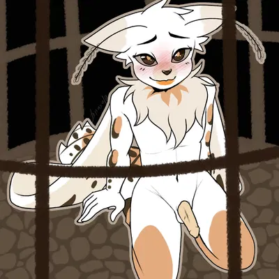 blush, femboy, genitals, kneeling