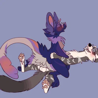 cooper mordaut, lily fulbright created by tuwka