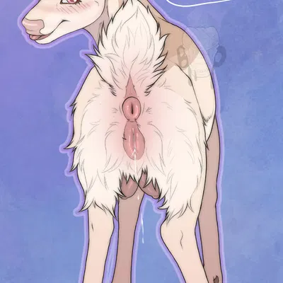 created by baohellhound