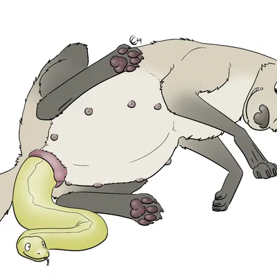 created by causationcorrelation