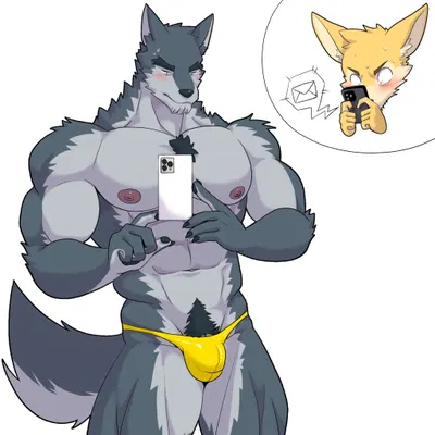 created by furtissier