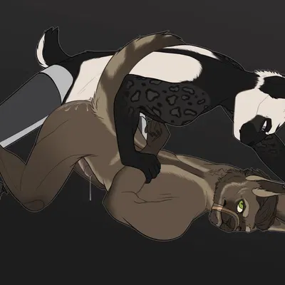 created by hill patre saint