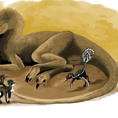 created by hodarinundu