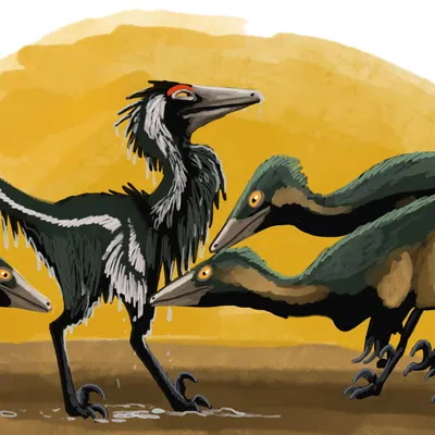 created by hodarinundu