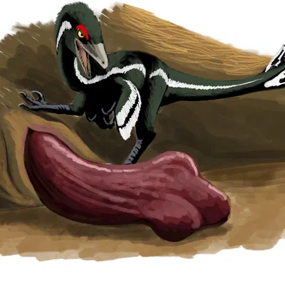 created by hodarinundu