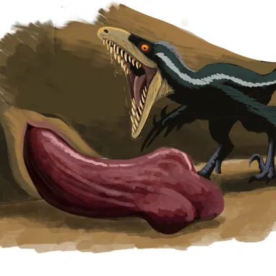 created by hodarinundu