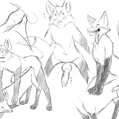 created by mirokuferral